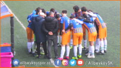 Alibeyköyspor 8-0 Şirinevlerspor